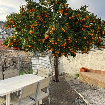Apartamento Fioregreco - Free Parking - Large Outdoor Space